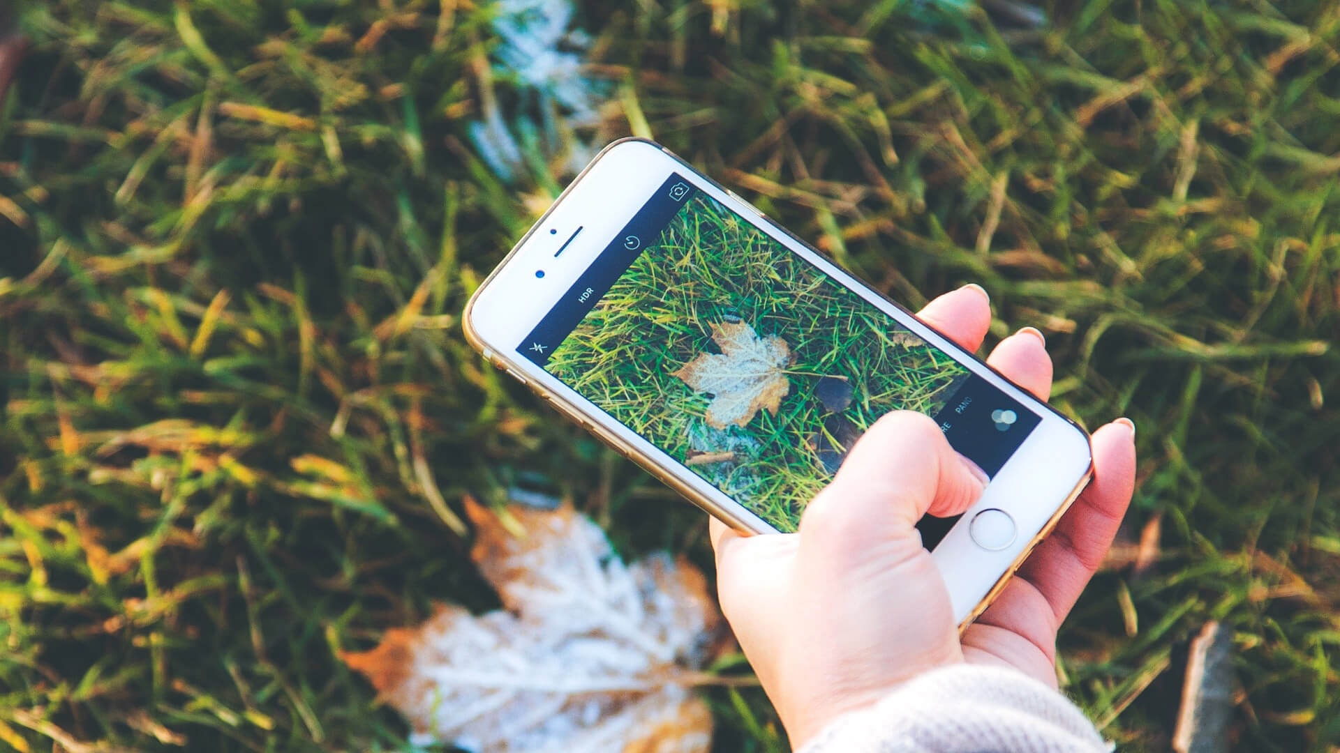 Camera iPhone qua 'thong minh',  lam mat mau sac chan that anh 1