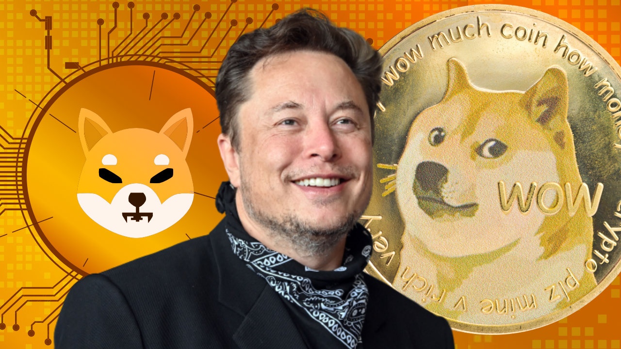 Elon Musk bi doi boi thuong 258 ty USD vi thao tung Dogecoin hinh anh