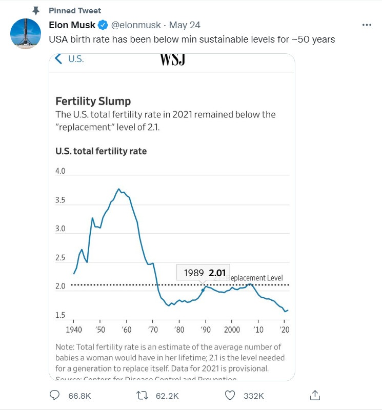 ly do Elon Musk muon co nhieu con anh 2