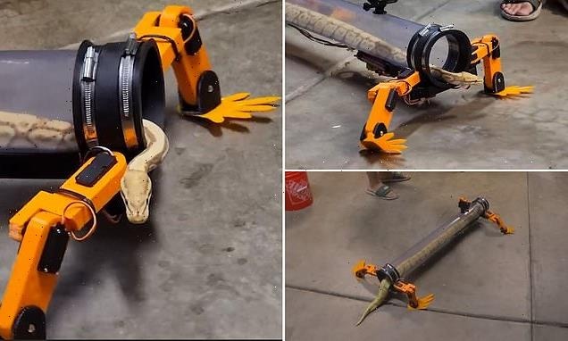 Thiet bi ky la anh 2