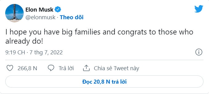 Elon Musk ao tuong anh 1