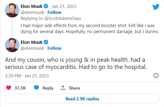 Elon Musk than tho anh 1