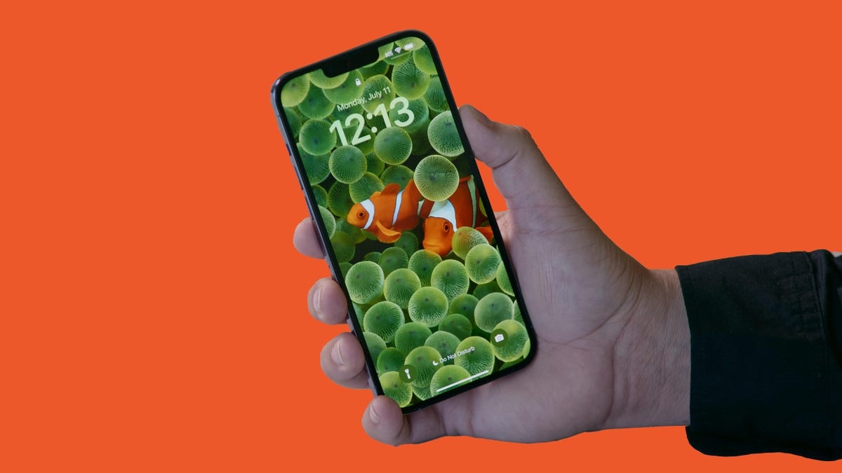 Tinh nang gay mat bao mat tren iPhone hinh anh