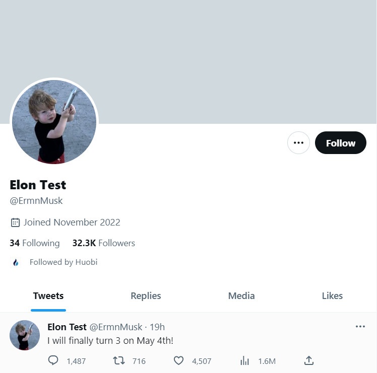 Tai khoan la cua Musk anh 1