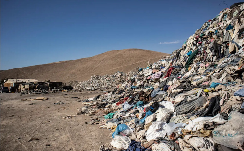 Anh ve tinh khac hoa tham hoa cua thoi trang nhanh hinh anh