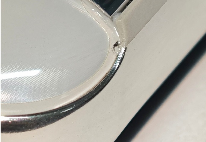 Mo dien thoai moi toanh, nhin thay mot con bo ben trong hinh anh