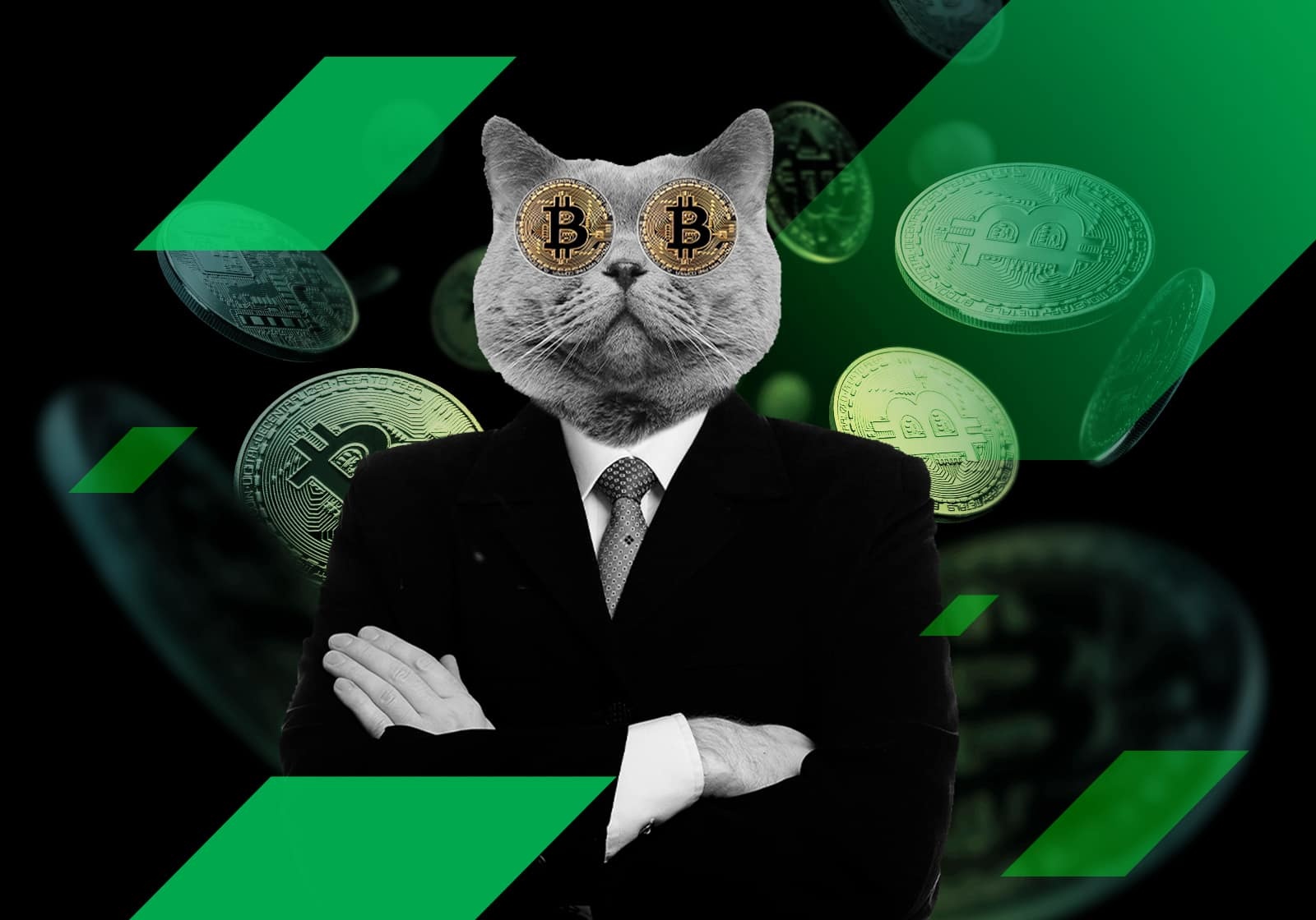 Nhung ty phu dau tau cua tien ma hoa da bien mat hinh anh