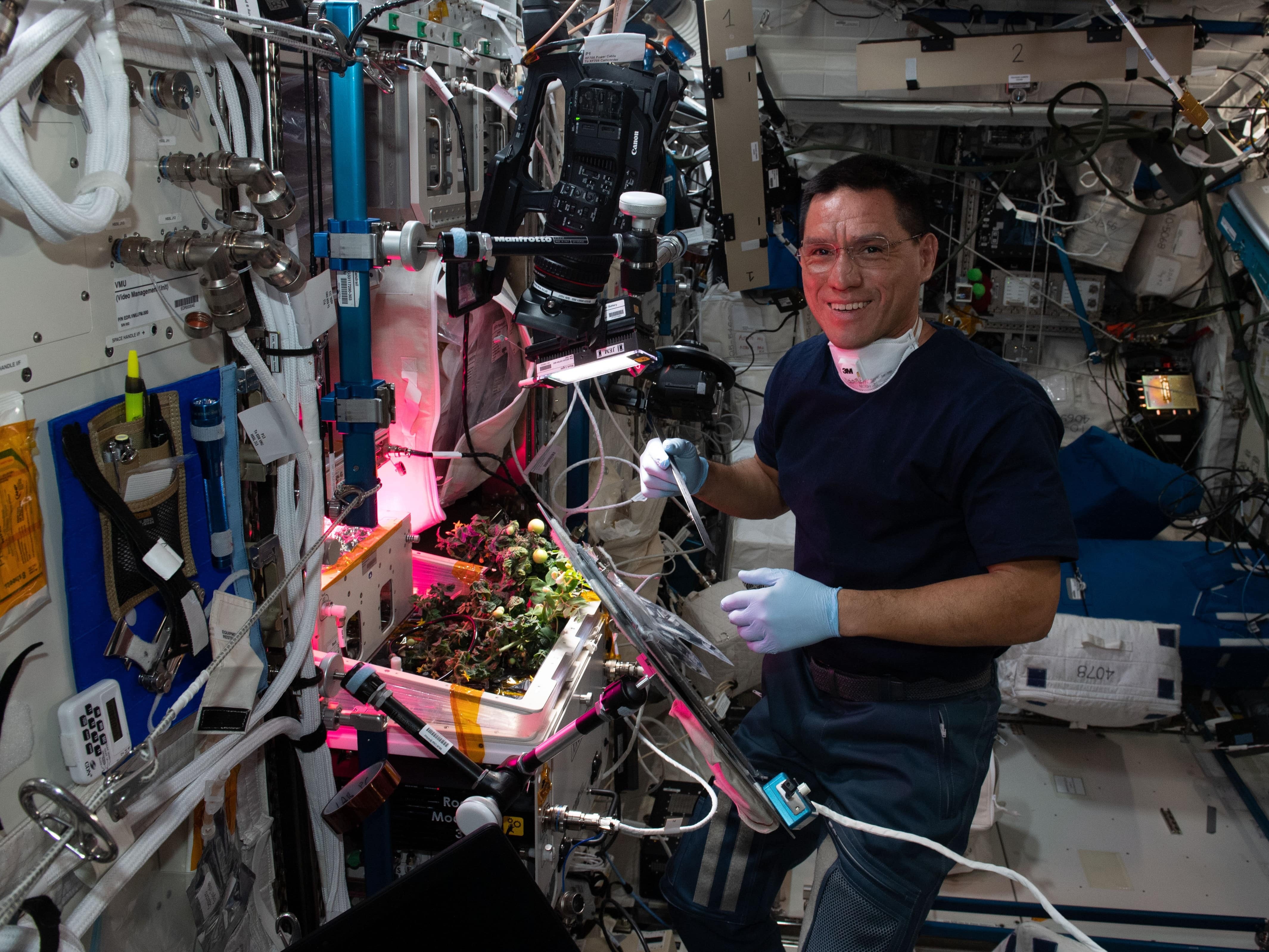 nasa,  ca chua anh 1