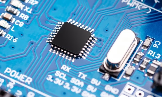 chip,  tan nhiet, anh 3