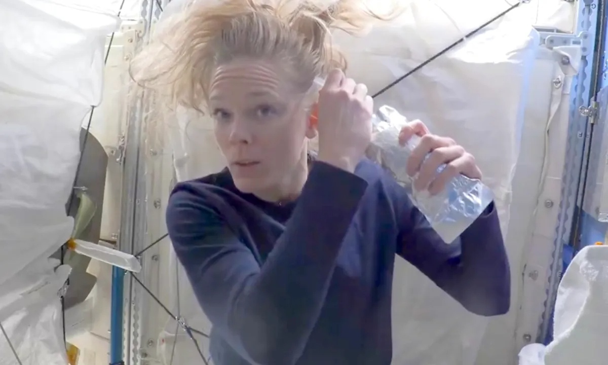 Phi hanh gia goi dau nhu the nao? hinh anh