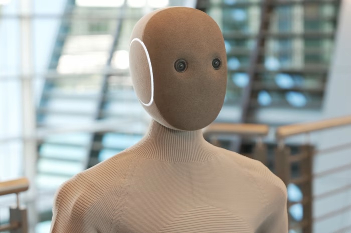 Cu lua robot tu lam viec nha gia 22.000 USD hinh anh