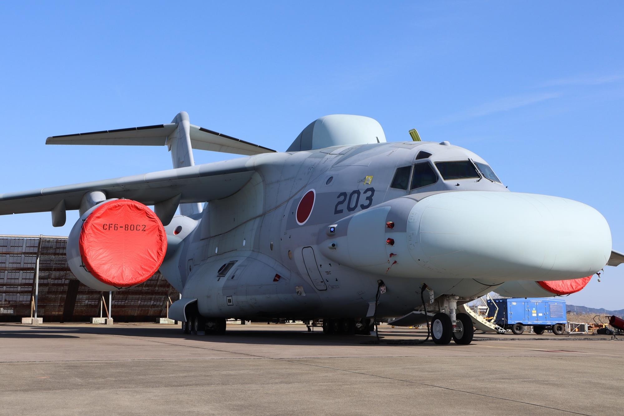 Phi co 'xau nhat the gioi' cua Nhat Ban lan dau cat canh hinh anh