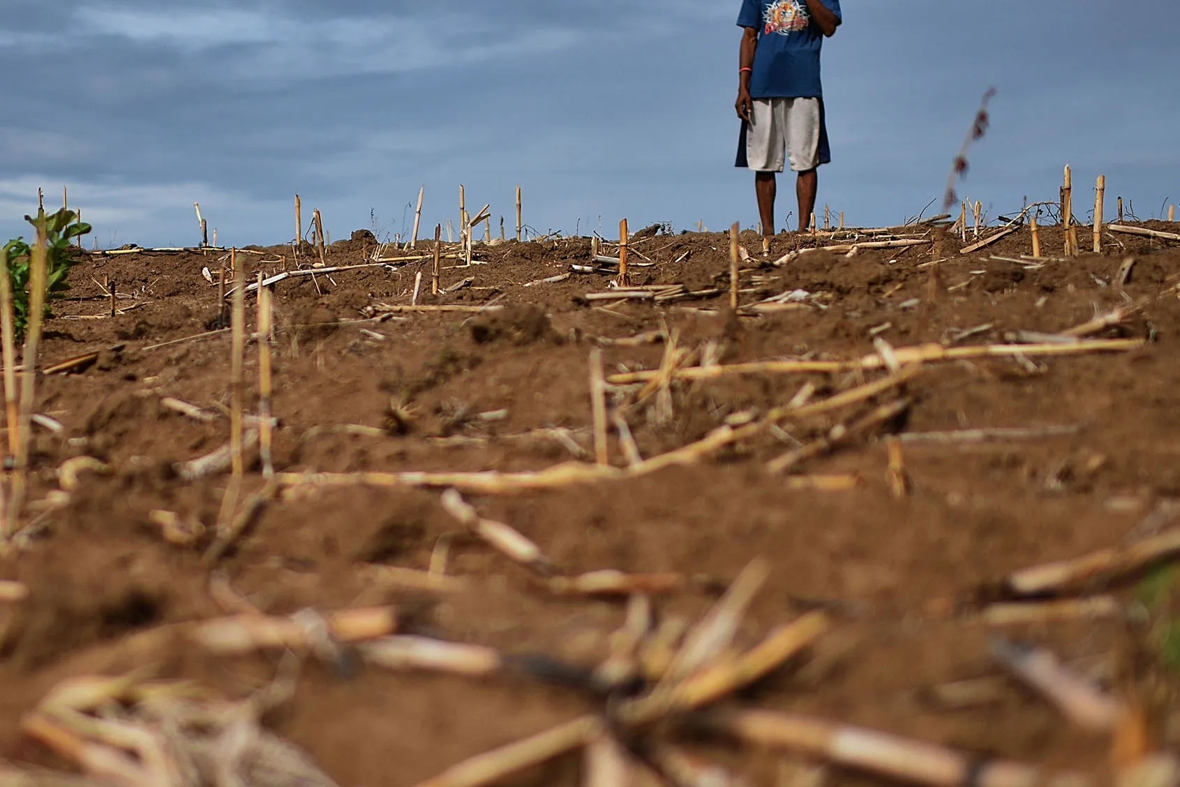 El Nino 2026 co the manh nhat lich su hinh anh