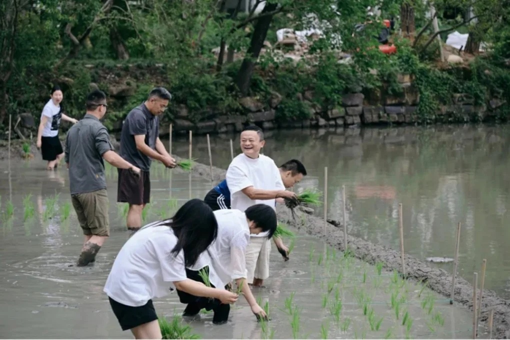 Hoat dong la cua Jack Ma hinh anh