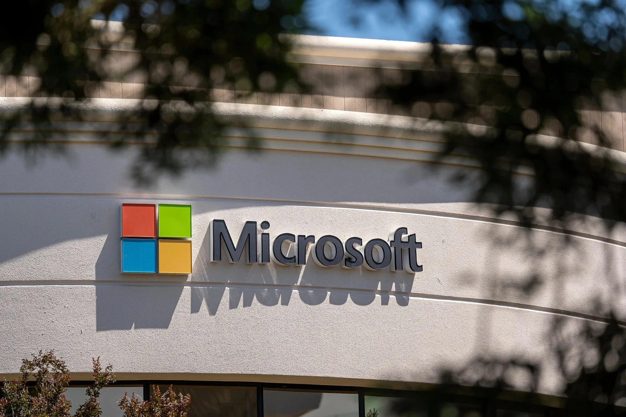 Microsoft ảnh 4