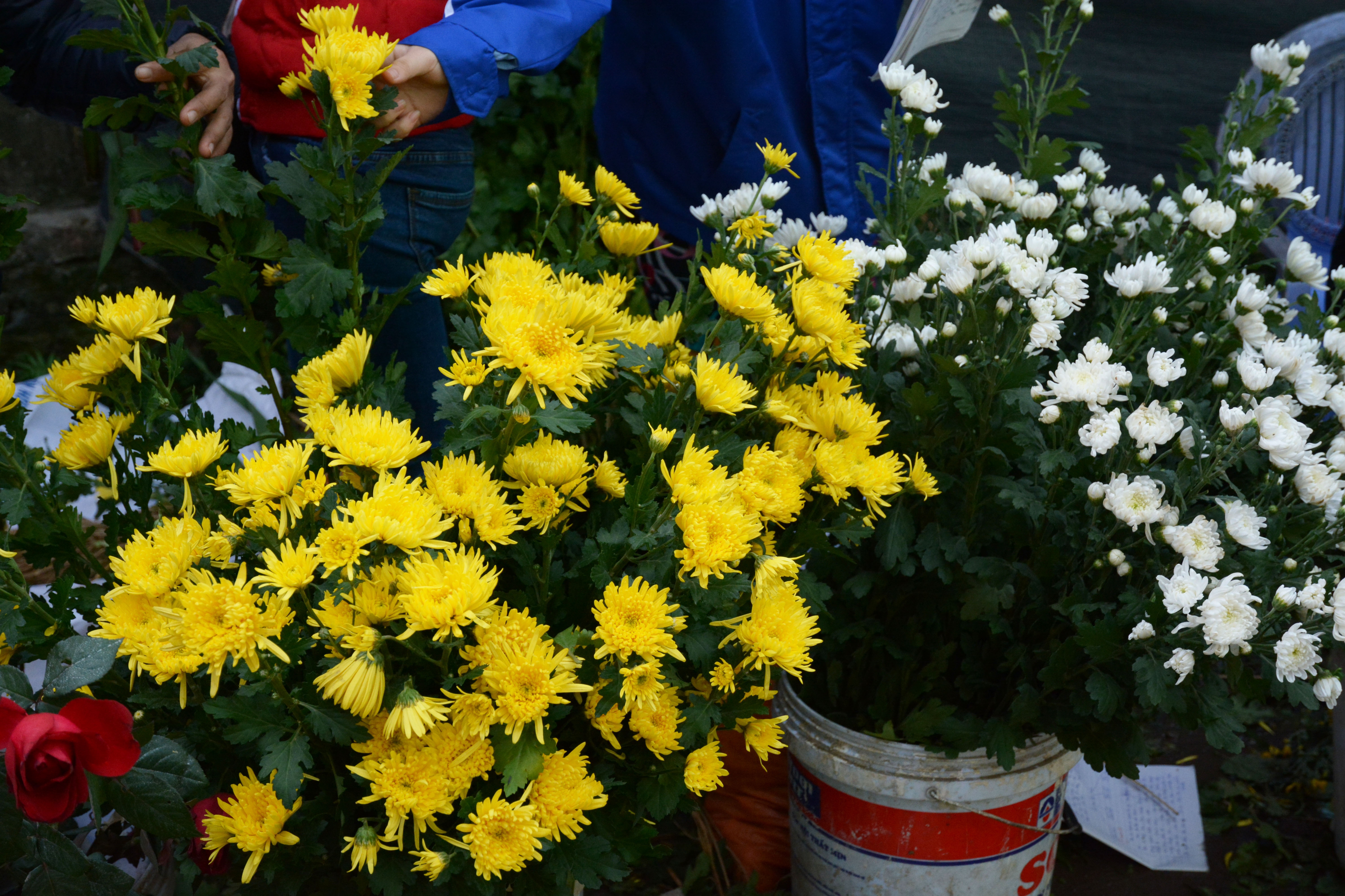 Nhon nhip cho que ngay 30 Tet anh 16