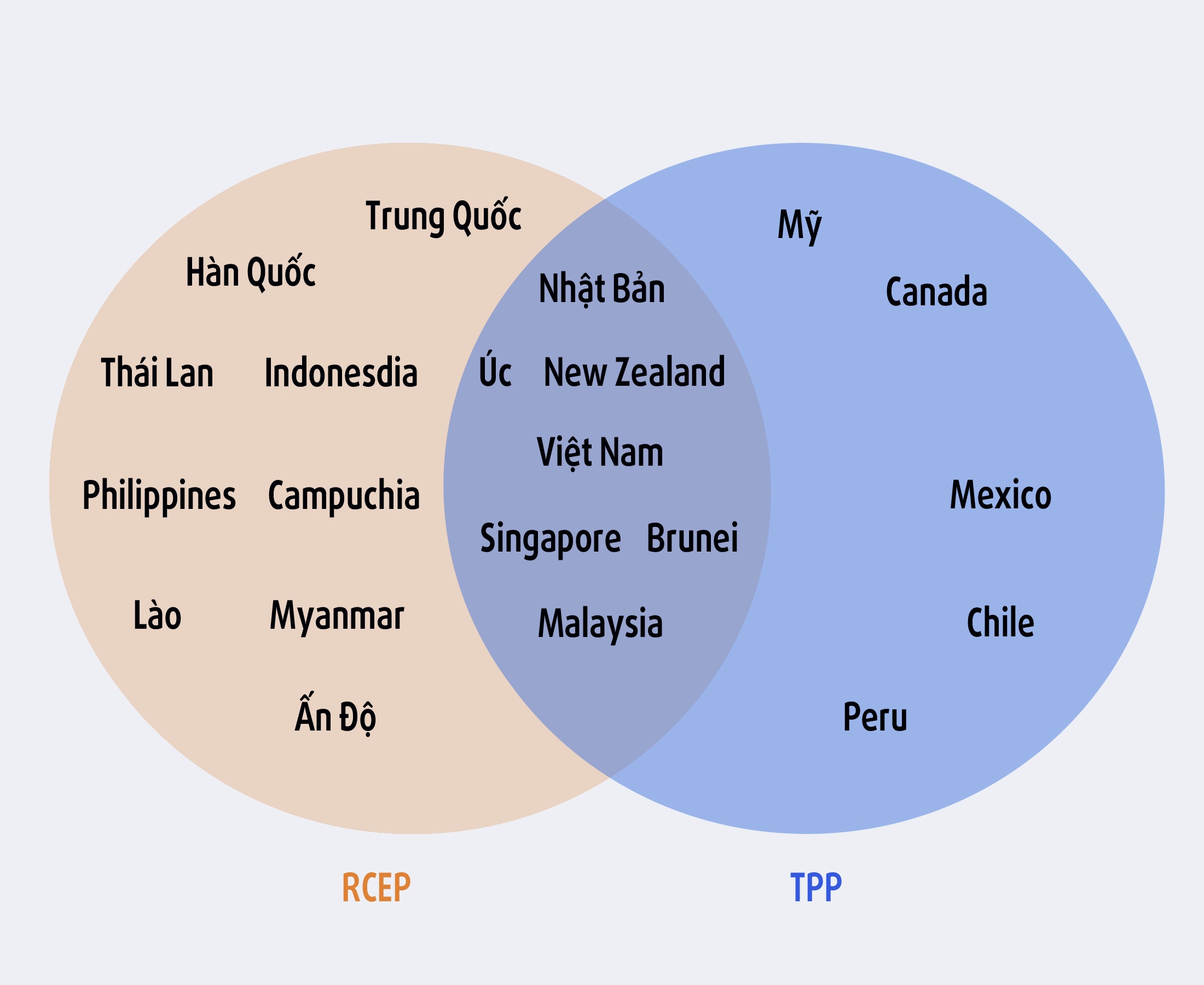 viet nam khong mat nhieu vi tpp sup do anh 1