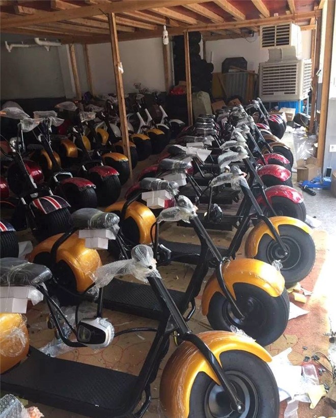 Thi truong beo bo kieu 'ban xe dien banh to 449.000 dong' hinh anh