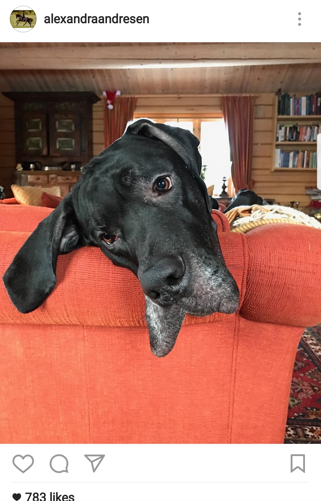 nữ tỷ phú trẻ nhất thế giới ảnh 6 nu ty phu tre nhat the gioi anh 6