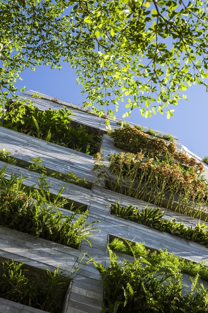 nha dep nhieu cay xanh o da nang anh 2