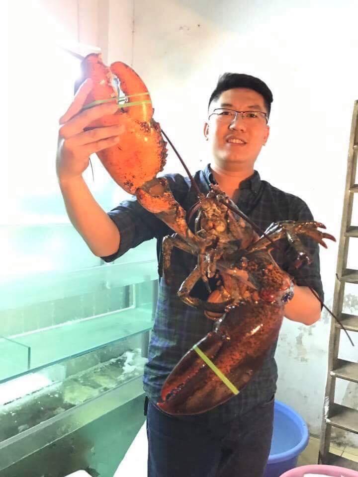 tôm hùm canada giá rẻ ảnh 2 tom hum canada gia re anh 2