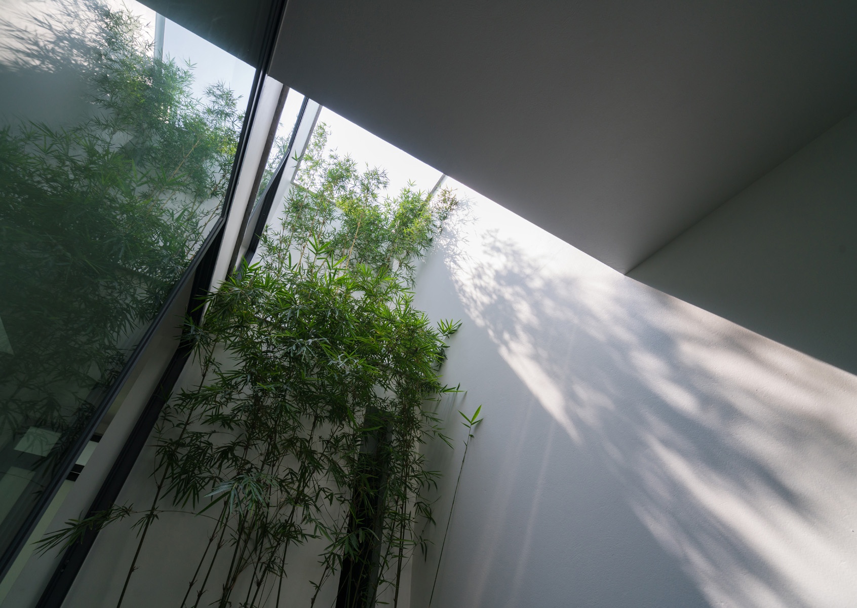 nha dep nhieu cay o bac ninh anh 3