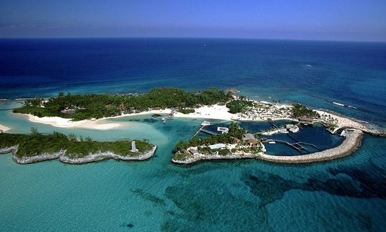 Trac nghiem: Thien duong thue la gi? hinh anh