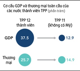 Viet Nam can nhac cac lua chon de dam phan lai TPP anh 2