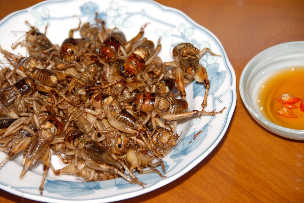 San de com mien tay anh 15