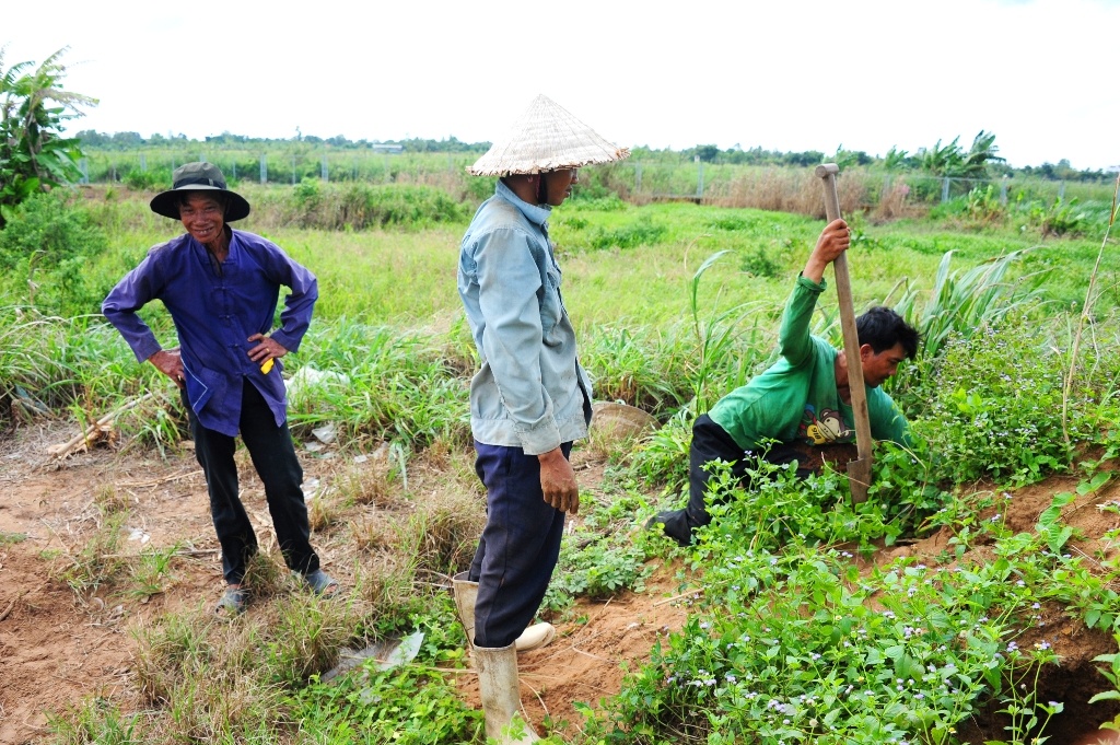 San de com mien tay anh 2