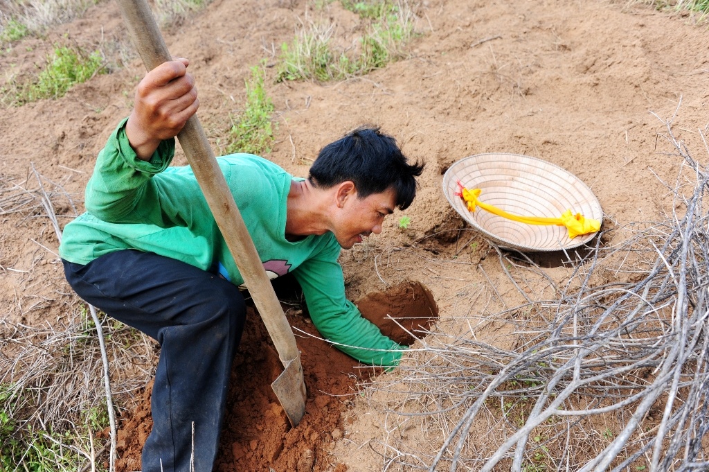 San de com mien tay anh 5