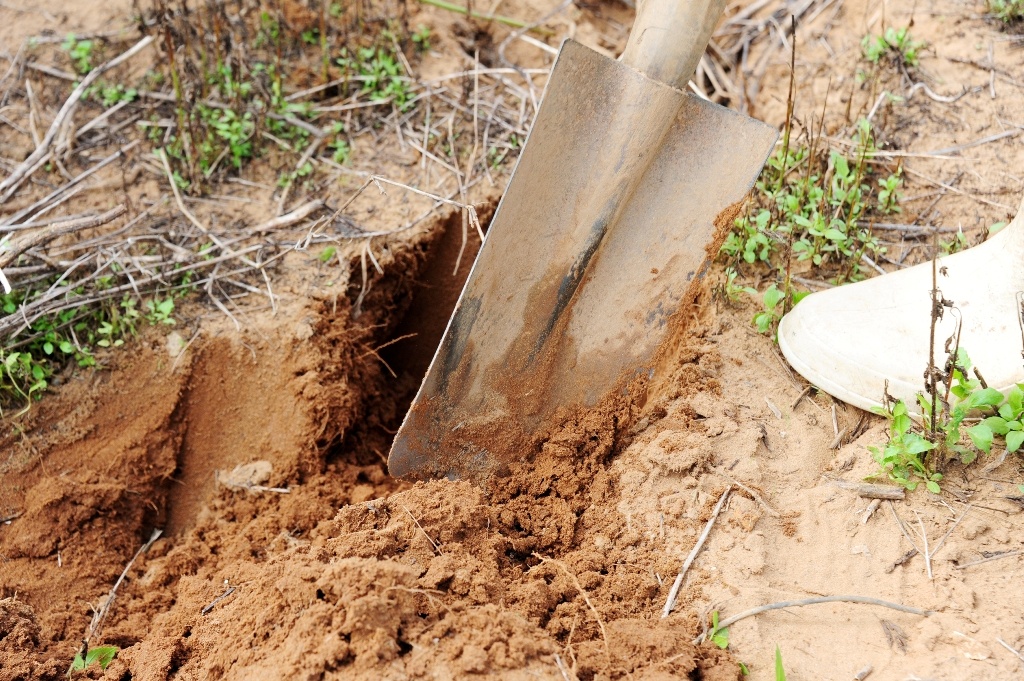 San de com mien tay anh 7