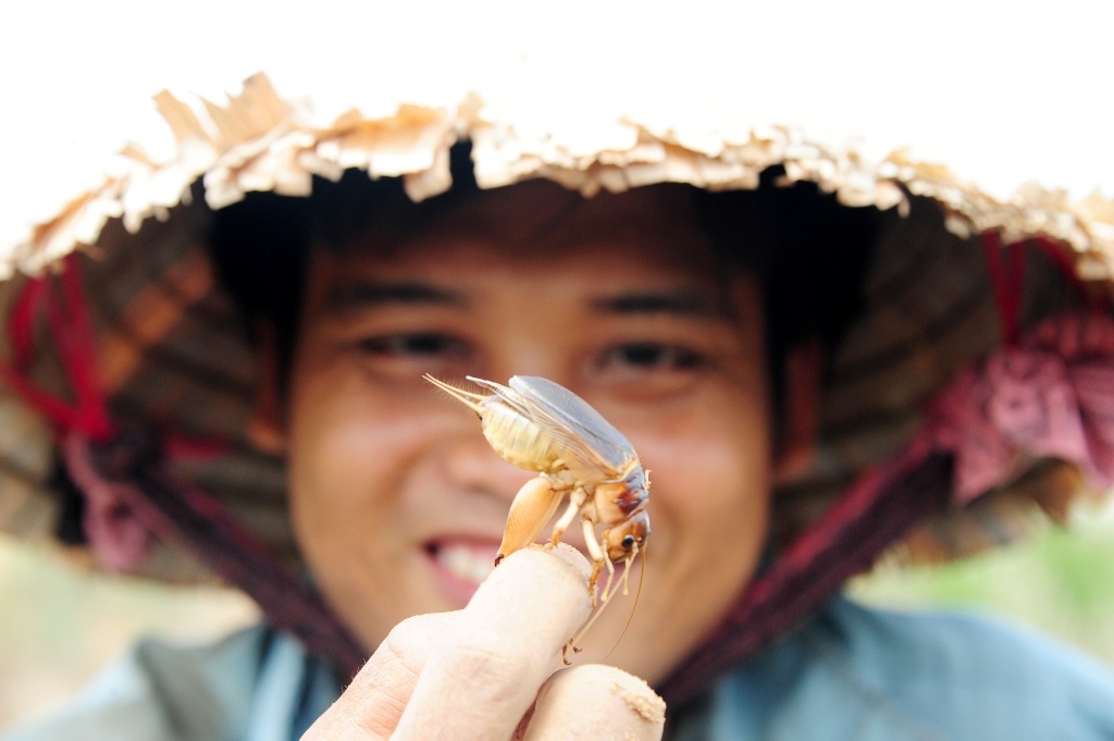 San de com duoi long dat kiem 300.000 dong moi ngay o mien Tay hinh anh