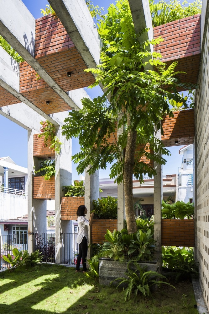 Can nha 'nong nghiep' voi be boi dai 9 m o Da Nang hinh anh