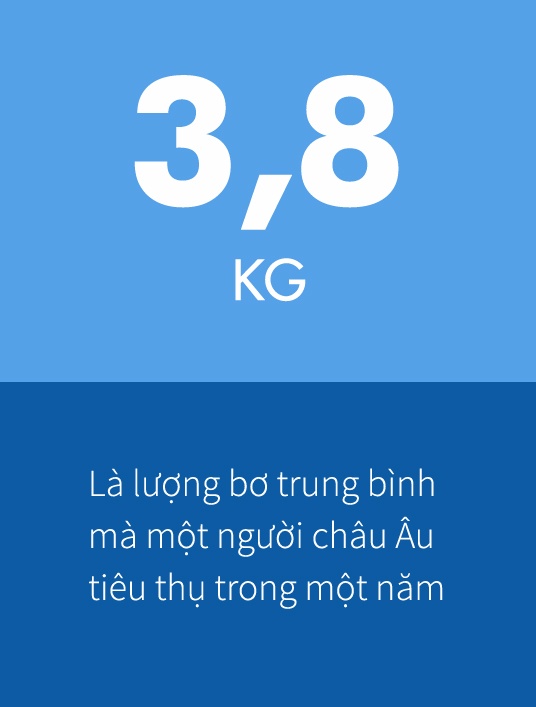 Châu Âu lâm vào khủng hoảng thiếu bơ ảnh 1 Chau Au lam vao khung hoang thieu bo anh 1
