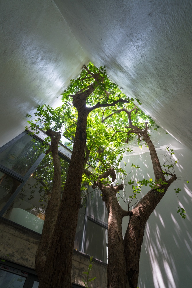 nha dep thiet ke nhieu cay xanh anh 7