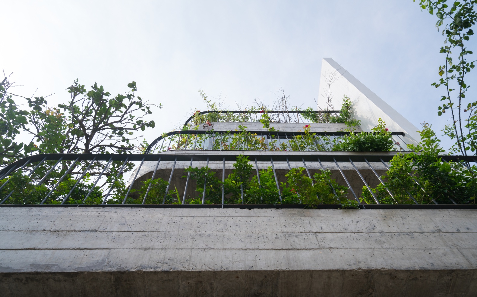 nha dep thiet ke nhieu cay xanh anh 2