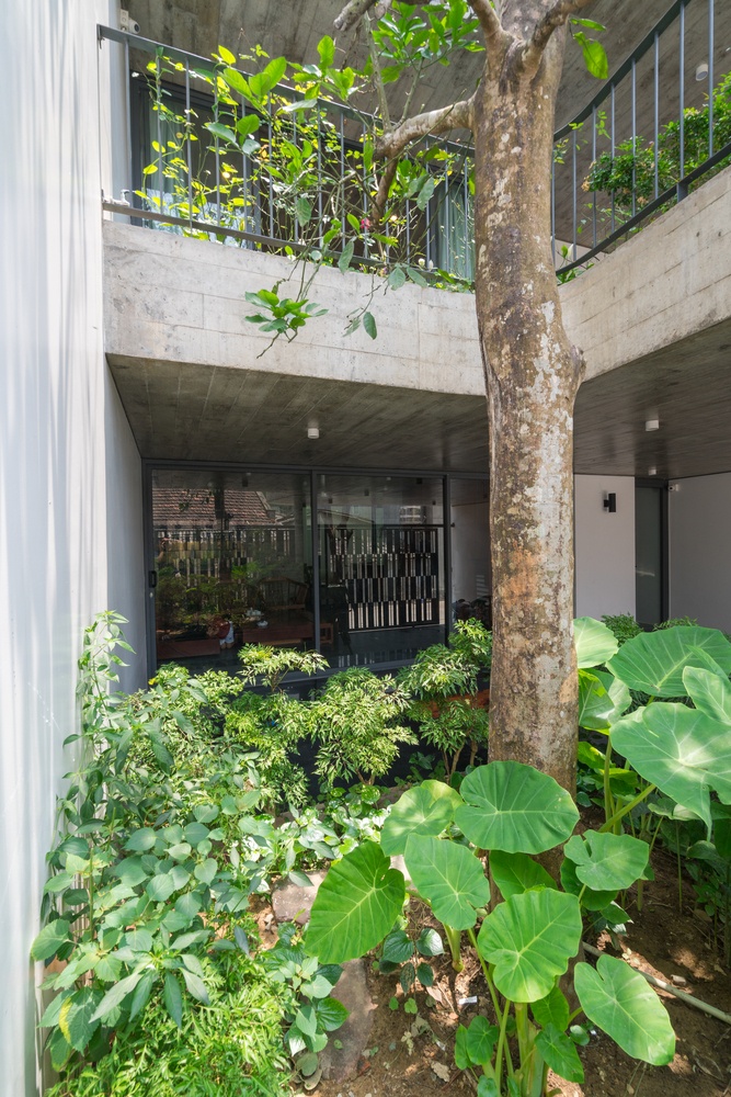 nha dep thiet ke nhieu cay xanh anh 13