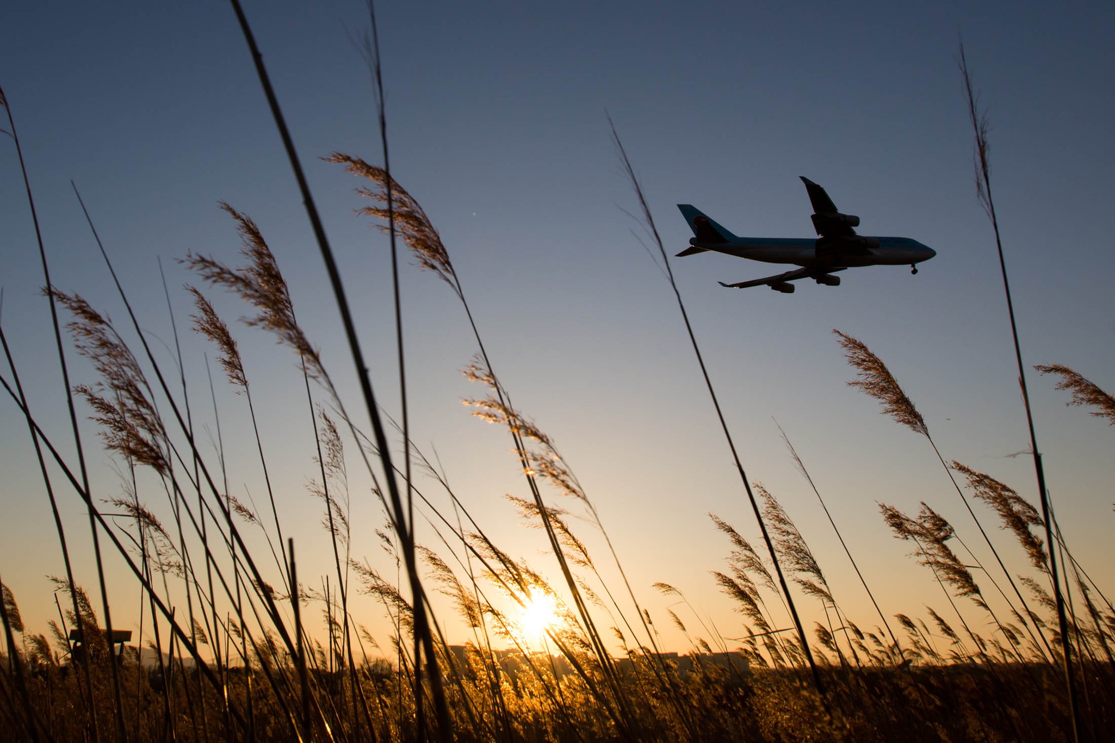 Chien luoc tao bao cua hang hang khong gia re Han Quoc hinh anh