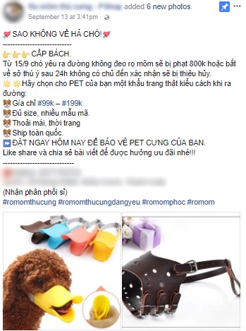 rọ mõm cháy hàng vì đội săn bắt chó ảnh 1 ro mom chay hang vi doi san bat cho anh 1