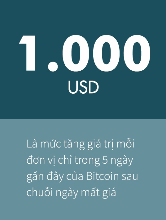 bticoin tăng giá dù trung quốc cấm ảnh 1 bticoin tang gia du trung quoc cam anh 1