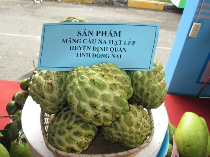 Mang cau na doc la vua xuat hien tai TP.HCM hinh anh