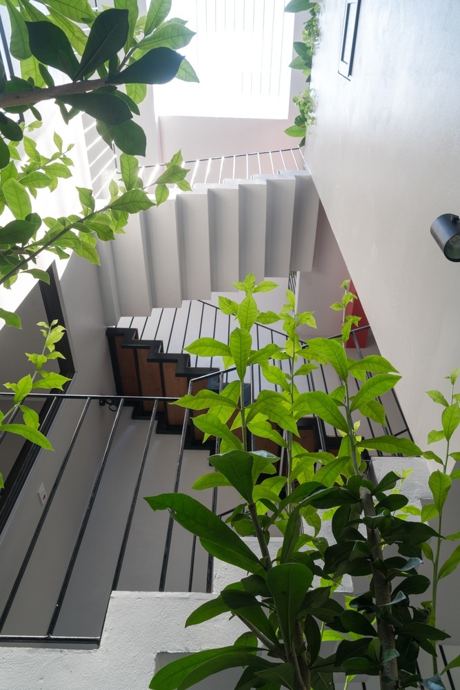 nha ong thiet ke dep anh 8