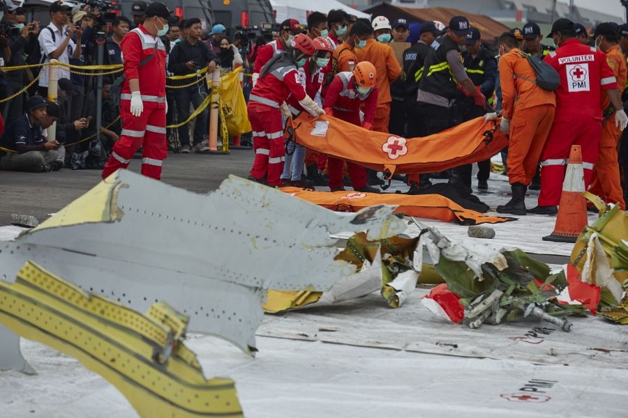 Hang loat hang dung khai thac may bay Boeing 737 Max 8 hinh anh