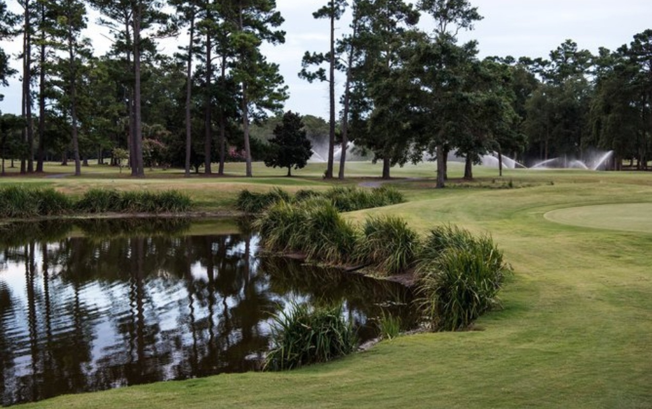 kinh doanh golf có lãi không ảnh 3 kinh doanh golf co lai khong anh 3