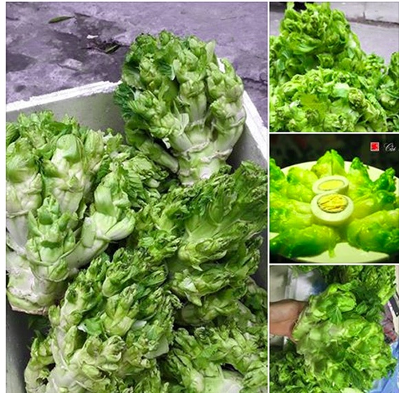 Cai mam da Sapa dat nhu thit anh 1