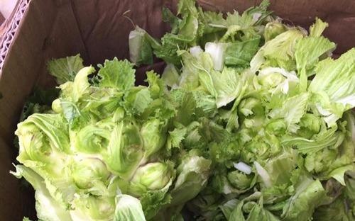 Cai mam da Sa Pa dat nhu thit: Coi chung hang Trung Quoc doi lot hinh anh