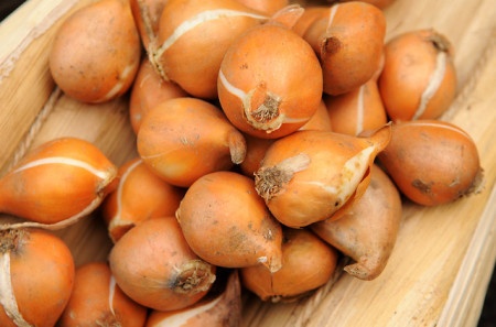 bao gio bong bong bitcoin se vo anh 2