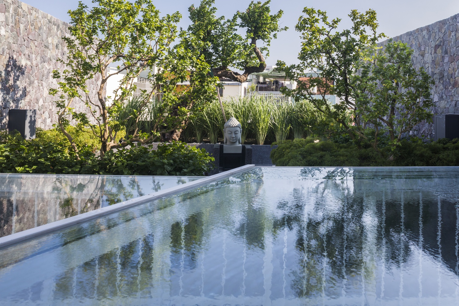 Can nha pho cho nao cung thay cay xanh o Nha Trang hinh anh