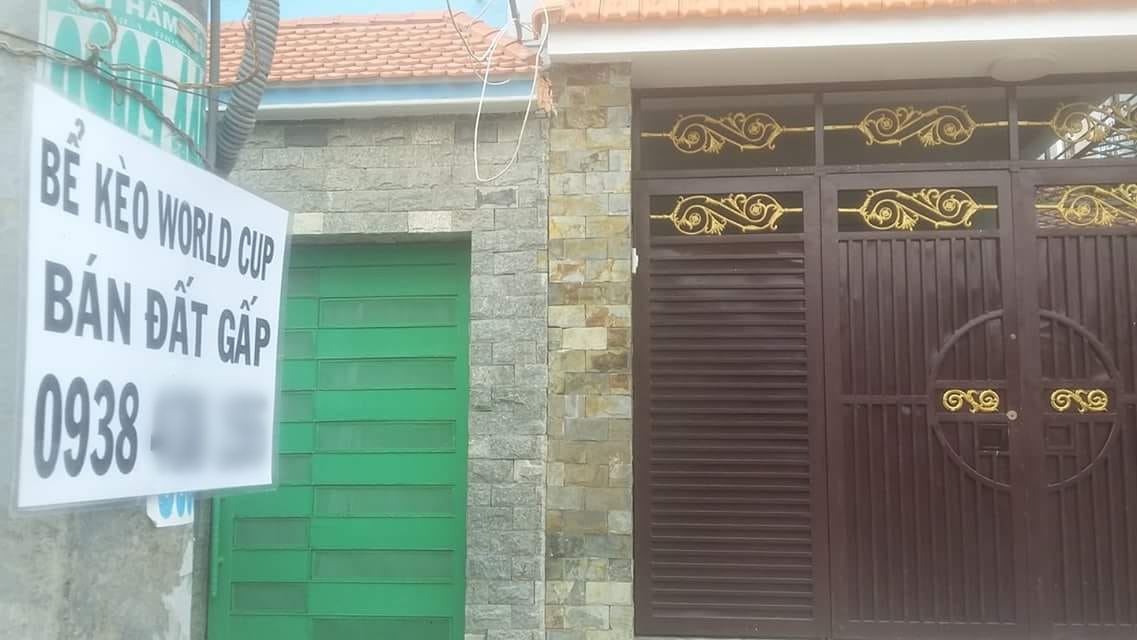 Nha dat, oto, thu cung gan mac thua do World Cup de de ban hinh anh